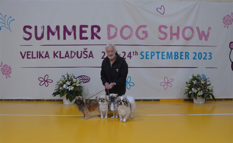 Harald med hundene i Bosnien.
Uma, Indira, Bonita og Ravi.