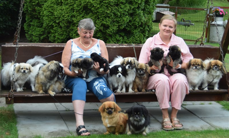 Kennel Sommerlyst aka juli 2026. 
Vi startede med Pyreneerhunde (sidste kuld i 1990), men for 43 år siden kom Tibetansk Spaniel også til, og de har været her lige siden. 
Anette blev en del af kennel Sommerlyst i 2021, hun er en absolut gevindst for kennelen, - både som menneske og med sin allerede store dyrlægeerfaring!