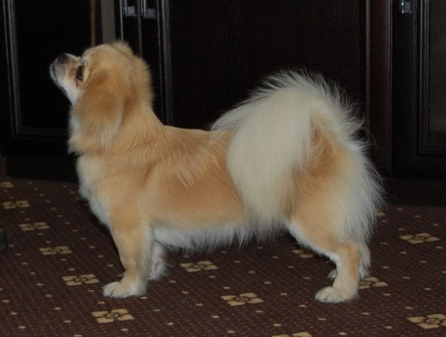 UACH RSCH SRGRCH Avigdor Zenobia - aka Hazel