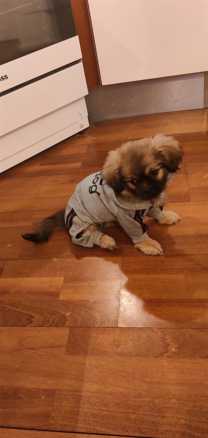 Theo som lille